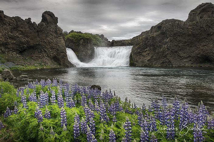Hjalparfoss is een kleine waterval die in twee armen tussen de basaltzuilen door 20 meter naar beneden valt. Hjalparfoss betekend ’hulpwaterval’. Vroeger trokken de reizigers over de Sprengisandurroute dwars door het binnenland naar de andere kant van IJsland. Dat was een zware en risicovolle reis. Wanneer men vanuit het noorden bij deze waterval aankwam hadden ze weer voor het eerst vers water en voer voor de paarden. De waterval ligt in de Fossá rivier die in de machtige gletsjerrivier de Pjorsa uitvloeit. De weg erheen is onverhard met met een 2WD goed te berijden. Er is een parkeerplaats met picknicktafels, van hieruit heb je een mooi uitzicht over de waterval.