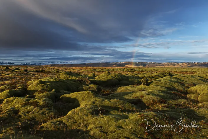 Lava Fields Iceland